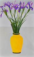 Irises in yellow vase 30x18